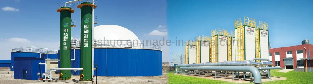 Constant Pressure Membrane Gas Dome Biogas Balloon Gas Storage Tank